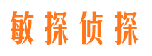 汝城敏探私家侦探公司